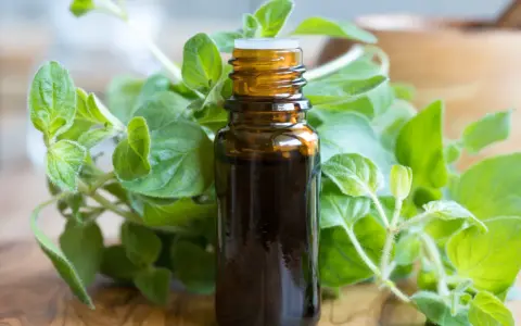 Brązowa buteleczka olejku z oregano, otoczona świeżymi gałązkami tej aromatycznej rośliny. Idealny do naturalnych zastosowań.