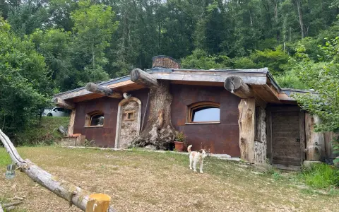 Une charmante cabane semi enterrée, intégrée à la nature, avec un chien curieux devant.