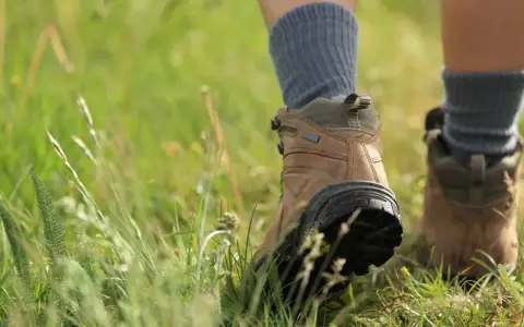 Wanderstiefel mit grauen Socken, die durch hohes Gras treten. Die richtigen Socken sind entscheidend, welche Socken zum Wandern am besten geeignet sind.