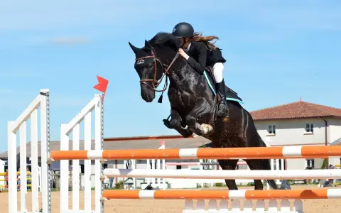 Une cavalière et son cheval noir effectuent un saut d'obstacle impressionnant.