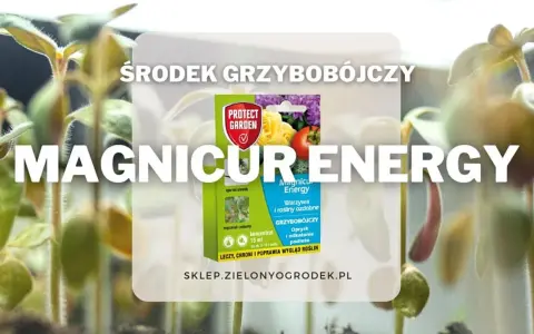 Środek grzybobójczy Magnicur Energy chroni młode rośliny. Zapewnia im energię do wzrostu.