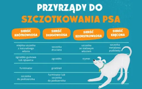 Tabela porównująca narzędzia do pielęgnacji psów o różnym rodzaju sierści: krótkiej, długiej, szorstkiej i kręconej.