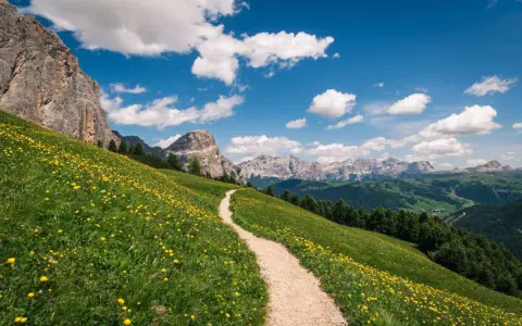 Sentiero in fiore per un trekking di 5 giorni in Italia. Montagne maestose e cielo azzurro con nuvole bianche.