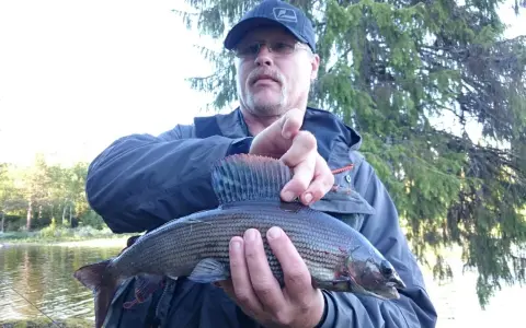 Man med keps och glasögon håller upp en fin fisk, fångad vid fiske i Sorsele.