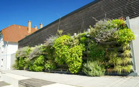 Grüne kletterpflanzen fassade mit verschiedenen Gräsern und blühenden Stauden, die an einer modernen Holzverkleidung wachsen.