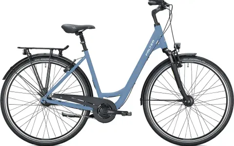 Ein blaues Citybike mit Gepäckträger und Schutzblechen, ideal für den Stadtverkehr.