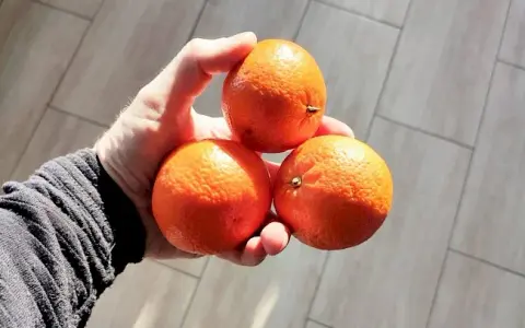 Ile kalorii mają mandarynki? Odkryj ich moc dla zdrowia i wagi.