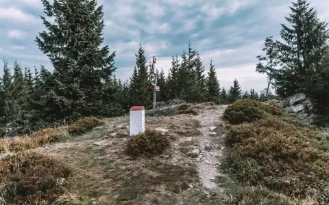 Kamienny słup graniczny i drogowskaz na szczycie góry, otoczone przez świerki. To miejsce, gdzie szlak prowadzi na kowadło szczyt.