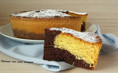 Una fetta di torta da colazione morbidissima bicolore, al cacao e vaniglia, cosparsa di zucchero a velo.
