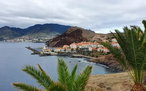 Blick auf eine Küstenstadt mit weißen Häusern und roten Dächern, umgeben von Bergen. Palmen im Vordergrund. Hier leben die Madeira Einwohner.