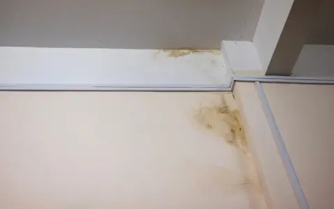 Taches d'humidité et moisissures sur un mur et un plafond, signe d'un vice caché dans cette maison ancienne.
