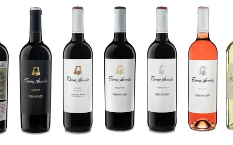 Variedad de **mejores vinos de Aranda de Duero** de la marca Tierra Aranda: Reserva, Roble, Crianza, Tinto Joven, Rosado y Verdejo.