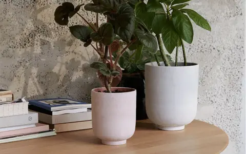 Två stilrena krukor inomhus inspiration. En ljusrosa och en vit kruka med gröna växter på ett runt träbord.