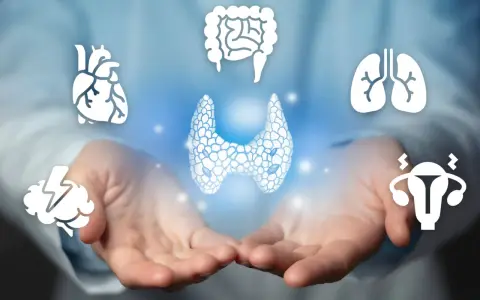Dłonie trzymające symbol tarczycy, otoczone ikonami serca, mózgu, płuc, jelit i narządów rodnych. Choroba Hashimoto ICD-10.