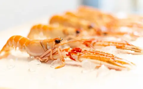 Cigalas congeladas al horno, listas para preparar un delicioso plato.