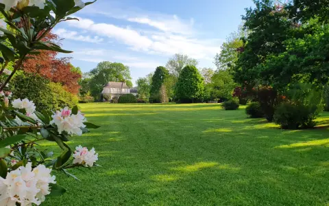 Magnifique pelouse verte, idéale pour savoir quand semer gazon. Des rhododendrons en fleurs au premier plan, un manoir en arrière-plan.