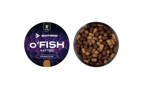 Dwa pojemniki z przynętą wędkarską. Po lewej etykieta "O'FISH Wafters Fish&Betaine", po prawej widok z góry na brązowe i beżowe kulki haczykowe.