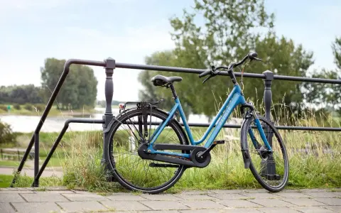 Niebieski rower Gazelle, idealny na wyprawy po mieście czy leśne ścieżki. Czy to gravel, czy trekking? Ten rower sprawdzi się w obu sytuacjach!