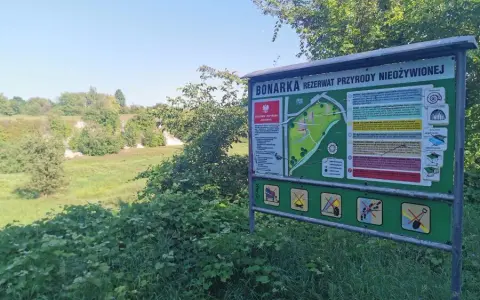 Rezerwat przyrody Bonarka: tajemnice geologiczne i atrakcje w Krakowie