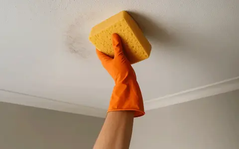 Main tenant nettoie la peinture acrylique au plafond avec une éponge.