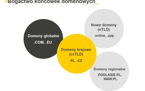 Domeny internetowe dla początkujących: Co to, jak działa, jak wybrać?