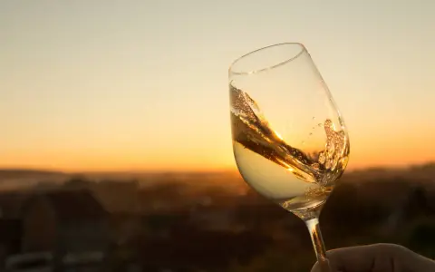 Ein Glas Scheurebe Wein schwenkt im warmen Abendlicht vor einer malerischen Landschaft.