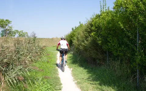 Ciclista su sentiero sterrato, immerso nella natura rigogliosa, un'esperienza da savio di Cervia.