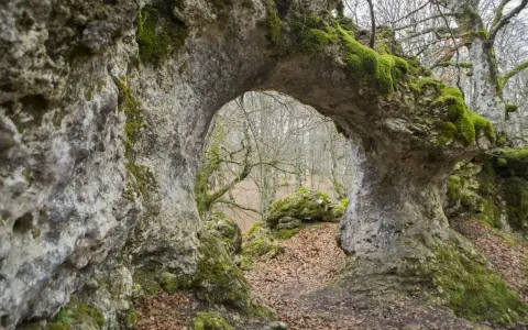 Arco natural cubierto de musgo en la sierra de Entzia, con un bosque otoñal al fondo.