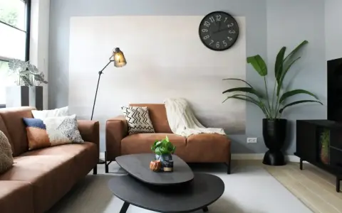 Salon moderne avec canapés marron, coussins colorés, plante verte et horloge murale. Une belle ambiance pour votre diy deco.