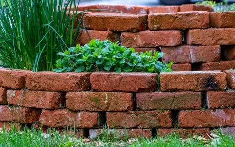 Okrągła rabata z cegły, w której rośnie mięta i szczypiorek. Cegły ułożone techniką brick stitch tworzą naturalną, rustykalną oprawę.