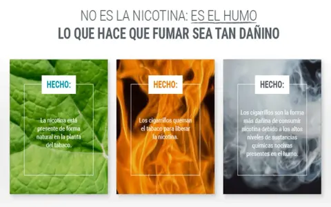 La nicotina, presente en el tabaco, se libera al quemarse. El humo del cigarrillo es lo dañino, no solo qué hace la nicotina en el cuerpo.