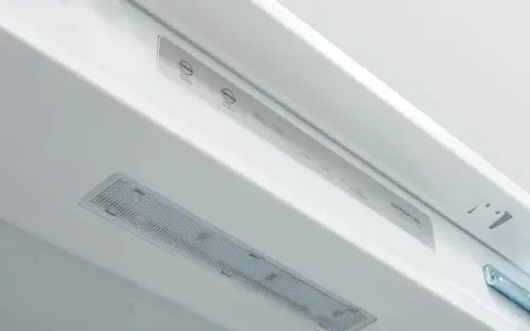 Zamrażarka Samsung: -19°C to klucz do świeżości i niższych rachunków?