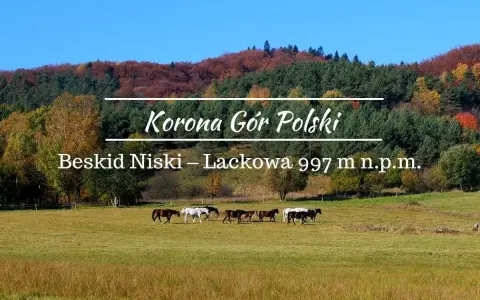 Jesienne barwy Beskidu Niskiego, z Łacową jako jednym z jego szczytów. Konie pasące się na łące.