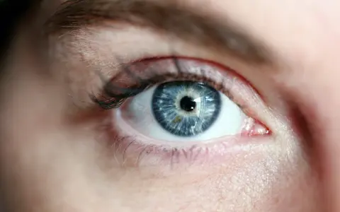 Occhio azzurro intenso, con iride dettagliata che riflette la luce. La sua trasparenza evoca il **vitrea significato** di profondità e purezza.