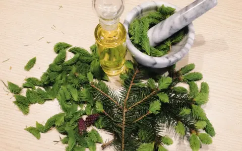 Frische Maiwipferl liegen neben einem Mörser mit Nadeln und einer Flasche Öl. Perfekt für Maiwipferl Rezepte.