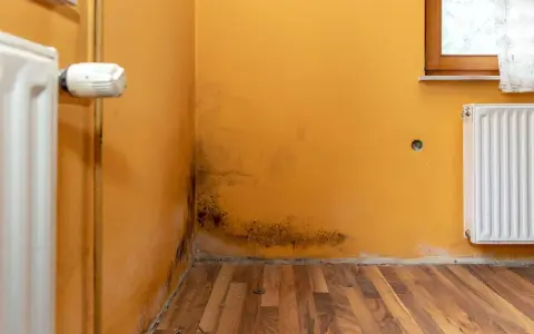 Manchas de moho en la esquina de una habitación con paredes naranjas y radiadores. Un problema común que indica cómo medir la humedad en casa.
