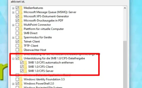 Windows 11: SMB 1.0/CIFS-Unterstützung aktivieren für Dateifreigaben. Hier werden die Optionen für SMB 1.0/CIFS-Client und -Server angezeigt.