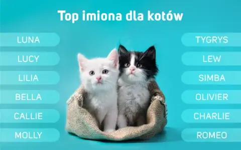 Jakie imię dla kotki? Odkryj wyjątkowe pomysły na nazwy