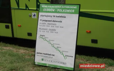 Marcel Mielec: Gdzie znajdziesz przystanek? Adres, stanowisko 10