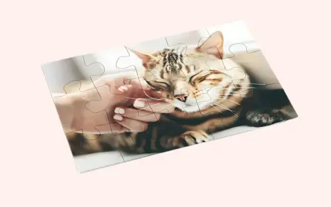 Jak zrobić puzzle ze zdjęcia? Ułóż obrazek z kotem, który głaszcze dłoń.