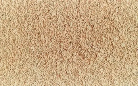 Texture granuleuse de diatomite, témoignant de son évolution naturelle.