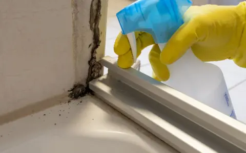 Yellow-gloved hand sprays cleaning solution onto black mold in a bathroom corner.