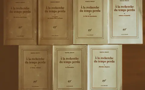 Una collezione di volumi di "Alla ricerca del tempo perduto" di Marcel Proust, editi da Gallimard, disposti su uno sfondo marrone.