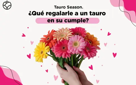 Manos sostienen un ramo de gerberas vibrantes, una flor de tauro perfecta para celebrar un cumpleaños.