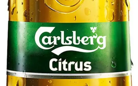 Carlsberg Polska: Pełne Portfolio Piw i Smaków (Przewodnik 2024)