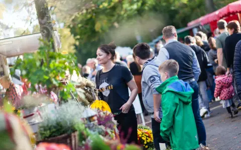 Menschen genießen bunte Veranstaltungen in OWL. Ein Markt mit Blumen und Ständen lockt Besucher an.