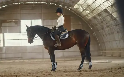 Une cavalière en tenue d'équitation, portant un casque, monte un cheval brun dans un manège. Elle a un aplomb parfait, montrant sa maîtrise.