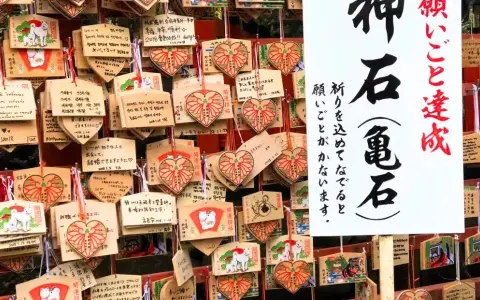Japonia: Pamiątki, kosmetyki, jedzenie co kupić? Pełny poradnik