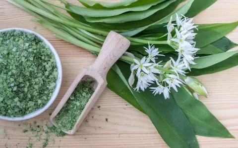 Sel de cuisine à l'ail des ours, avec des feuilles vertes et des fleurs blanches sur fond de bois.