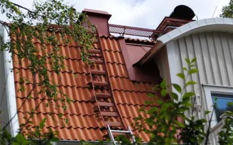 Takstege på ett rött tegeltak, en del av taket syns genom lövverk. Kanske för att följa takstege regler vid sotning.